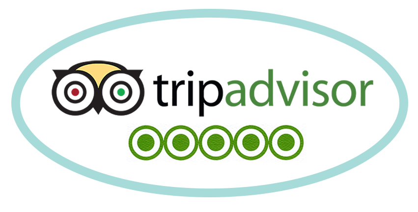Tripadvisor-Oval-01
